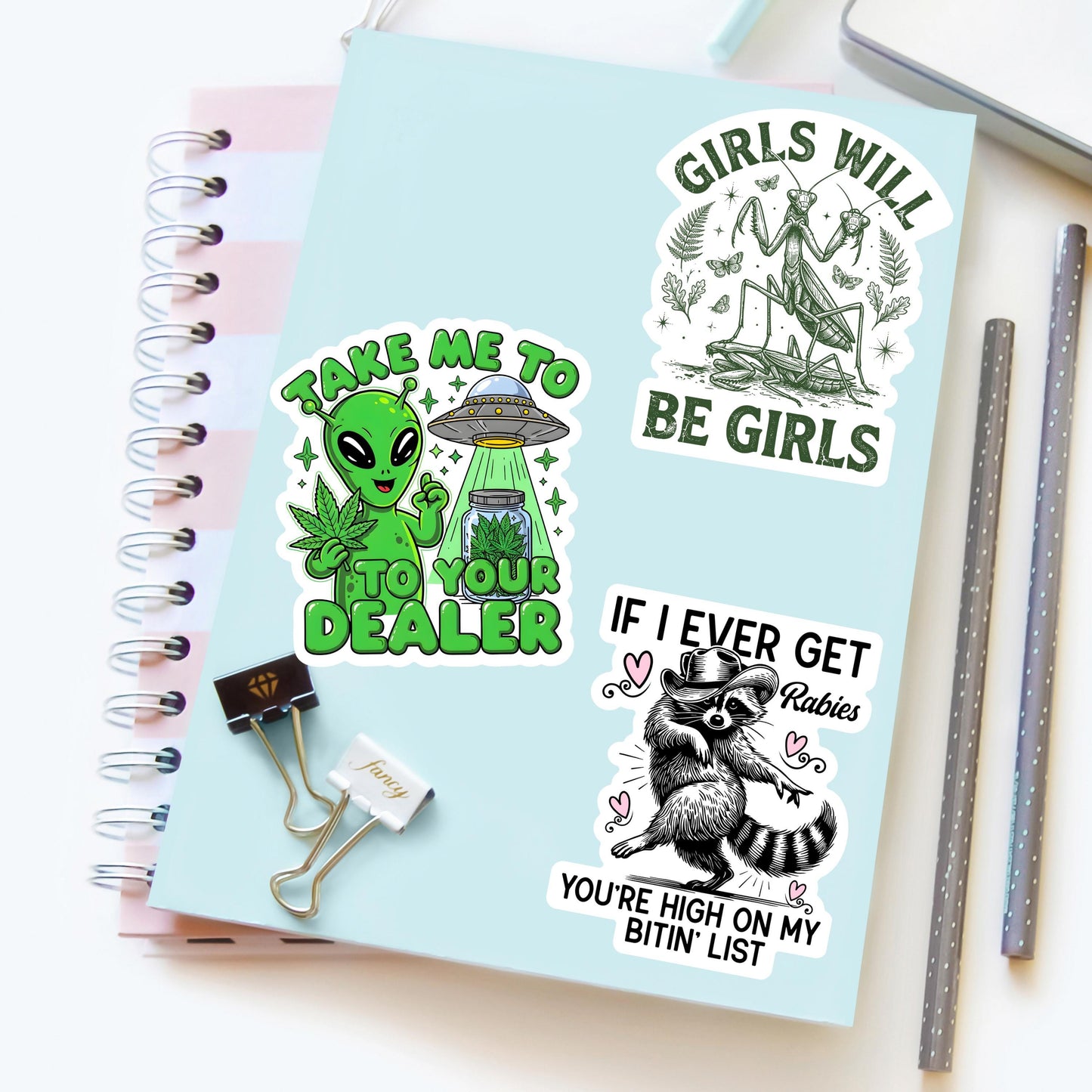 Girls Will Be Girls Praying Mantis Sticker, Feminist Insect Lover Vinyl Decal